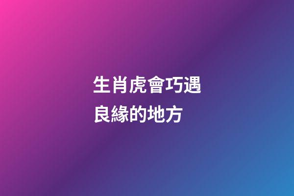 生肖虎會巧遇良緣的地方