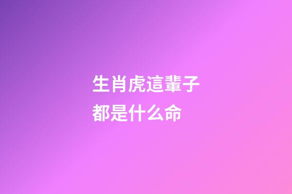 生肖虎這輩子都是什么命
