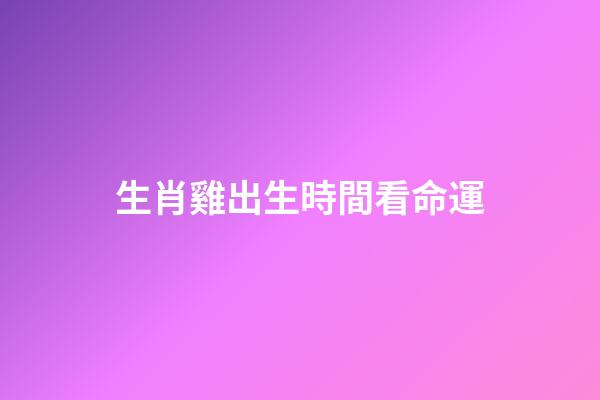 生肖雞出生時間看命運