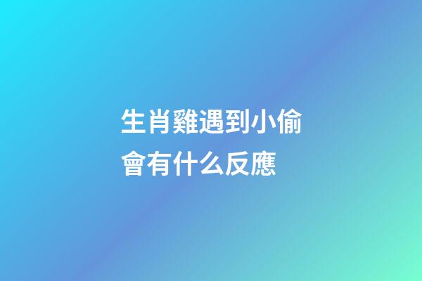 生肖雞遇到小偷會有什么反應