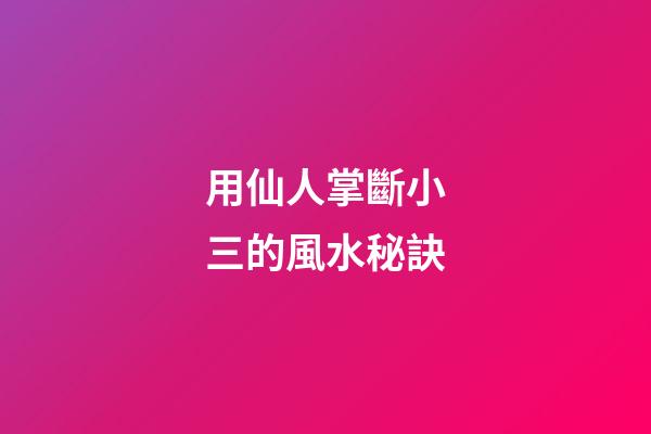 用仙人掌斷小三的風水秘訣