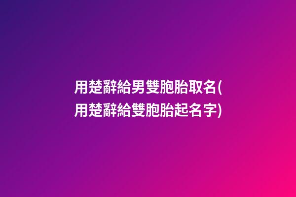 用楚辭給男雙胞胎取名(用楚辭給雙胞胎起名字)