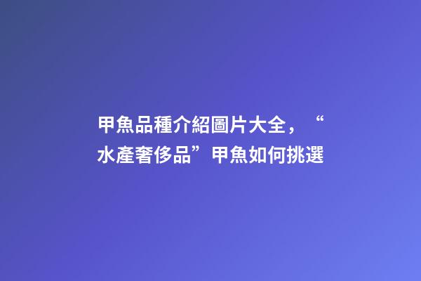 甲魚品種介紹圖片大全，“水產奢侈品”甲魚如何挑選-第1張-觀點-玄機派