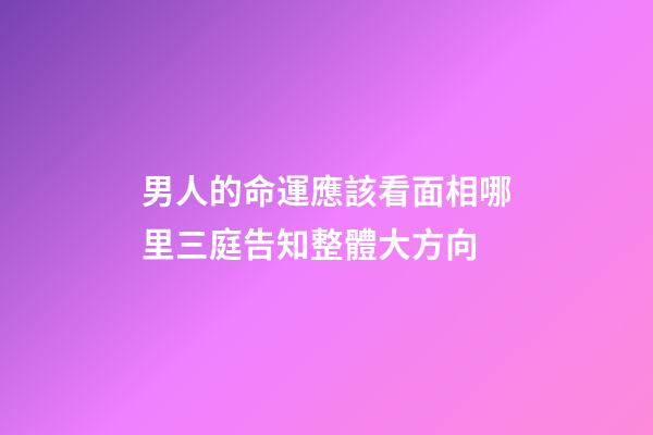 男人的命運應該看面相哪里?三庭告知整體大方向
