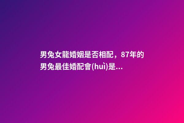 男兔女龍婚姻是否相配，87年的男兔最佳婚配會(huì)是什么生肖的女性