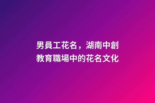 男員工花名，湖南中創教育職場中的花名文化