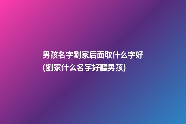 男孩名字劉家后面取什么字好(劉家什么名字好聽男孩)