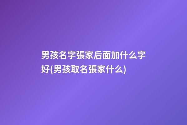 男孩名字張家后面加什么字好(男孩取名張家什么)