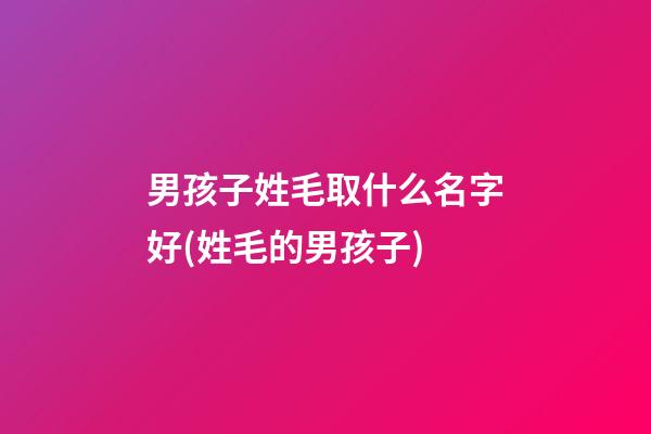 男孩子姓毛取什么名字好(姓毛的男孩子)