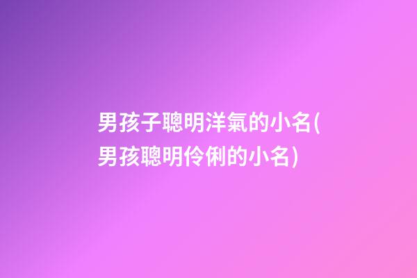 男孩子聰明洋氣的小名(男孩聰明伶俐的小名)