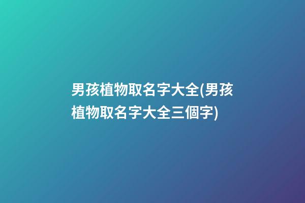 男孩植物取名字大全(男孩植物取名字大全三個字)