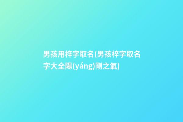 男孩用梓字取名(男孩梓字取名字大全陽(yáng)剛之氣)