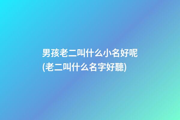 男孩老二叫什么小名好呢(老二叫什么名字好聽)