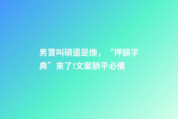 男寶叫碩還是爍，“押韻字典”來了!文案躺平必備-第1張-觀點-玄機派
