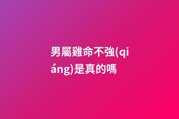 男屬雞命不強(qiáng)是真的嗎