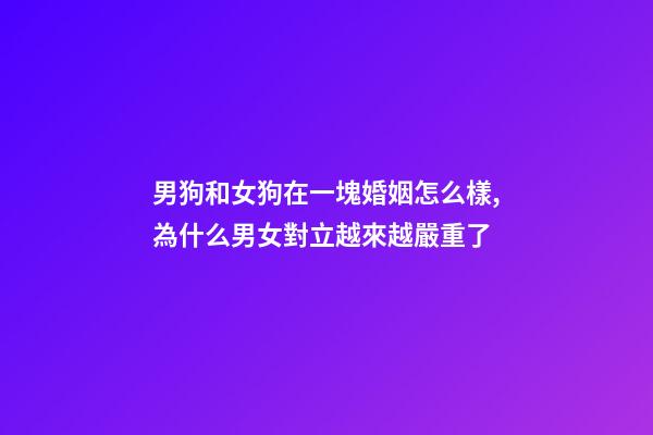 男狗和女狗在一塊婚姻怎么樣,為什么男女對立越來越嚴重了-第1張-觀點-玄機派