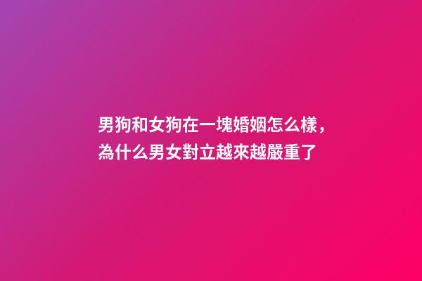 男狗和女狗在一塊婚姻怎么樣，為什么男女對立越來越嚴重了-第1張-觀點-玄機派