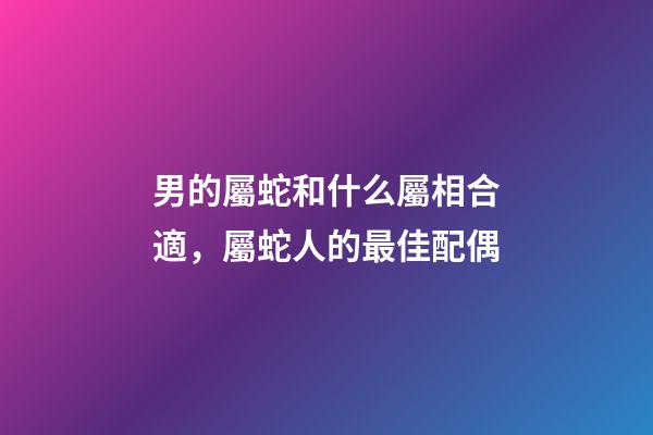 男的屬蛇和什么屬相合適，屬蛇人的最佳配偶-第1張-觀點-玄機派