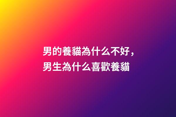 男的養貓為什么不好，男生為什么喜歡養貓-第1張-觀點-玄機派