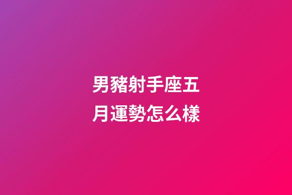 男豬射手座五月運勢怎么樣-第1張-星座運勢-玄機派