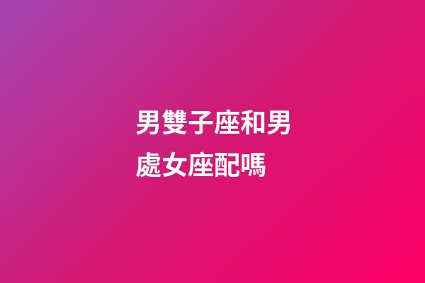 男雙子座和男處女座配嗎-第1張-星座運勢-玄機派