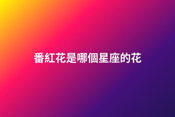 番紅花是哪個星座的花-第1張-星座運勢-玄機派