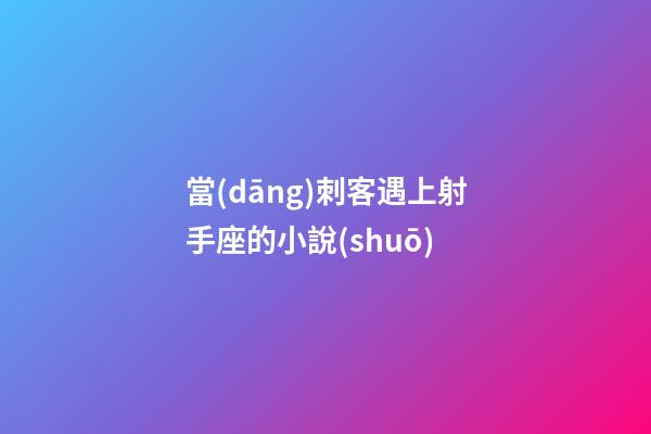 當(dāng)刺客遇上射手座的小說(shuō)