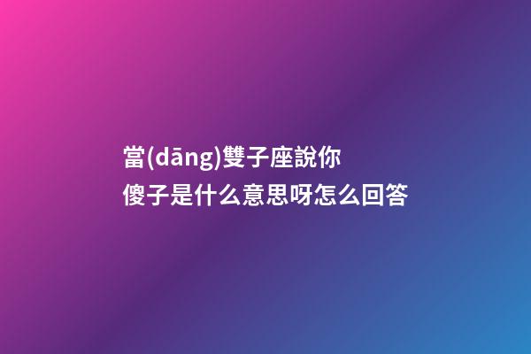 當(dāng)雙子座說你傻子是什么意思呀怎么回答-第1張-星座運勢-玄機派