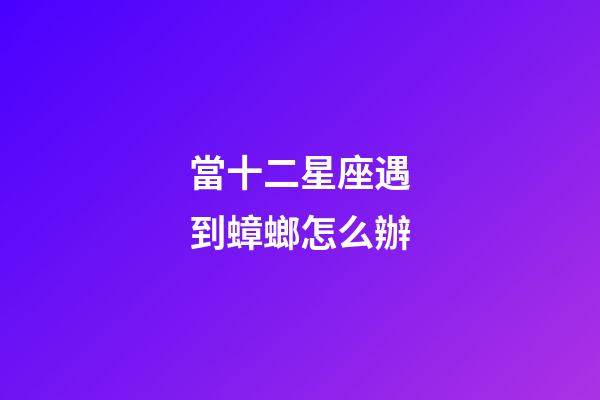 當十二星座遇到蟑螂怎么辦-第1張-星座運勢-玄機派