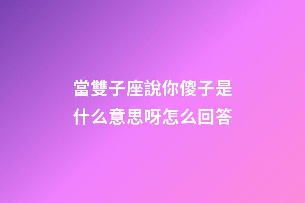 當雙子座說你傻子是什么意思呀怎么回答