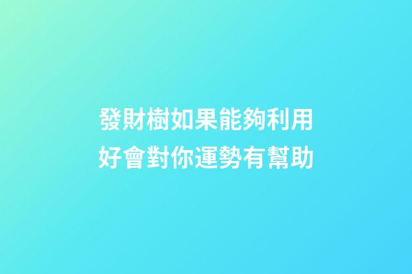 發財樹如果能夠利用好會對你運勢有幫助