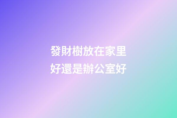 發財樹放在家里好還是辦公室好