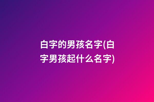 白字的男孩名字(白字男孩起什么名字)
