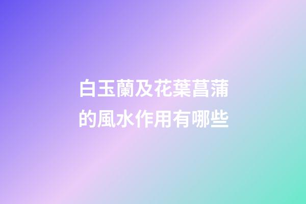 白玉蘭及花葉菖蒲的風水作用有哪些?