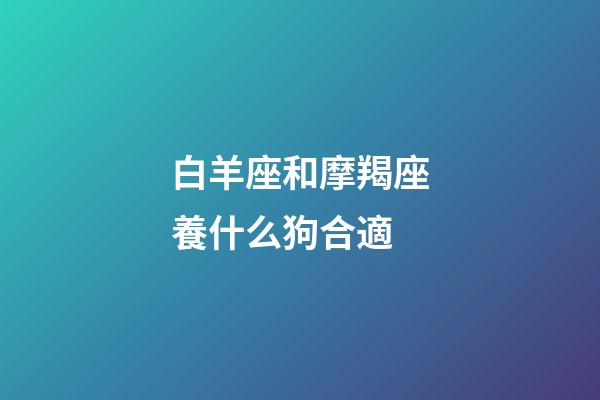 白羊座和摩羯座養什么狗合適-第1張-星座運勢-玄機派