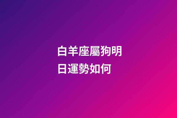 白羊座屬狗明日運勢如何-第1張-星座運勢-玄機派