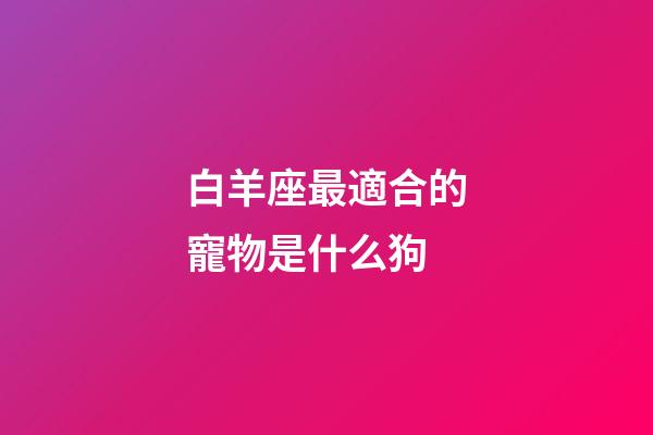 白羊座最適合的寵物是什么狗-第1張-星座運勢-玄機派