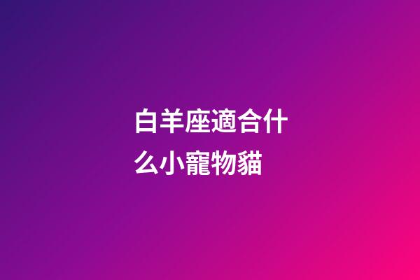 白羊座適合什么小寵物貓-第1張-星座運勢-玄機派