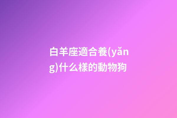 白羊座適合養(yǎng)什么樣的動物狗-第1張-星座運(yùn)勢-玄機(jī)派