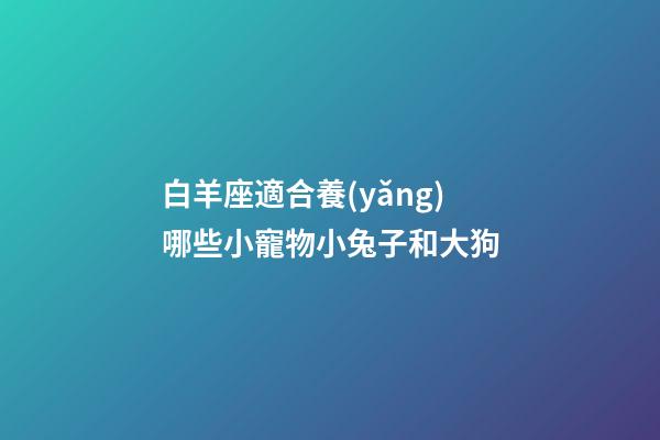 白羊座適合養(yǎng)哪些小寵物小兔子和大狗-第1張-星座運(yùn)勢(shì)-玄機(jī)派