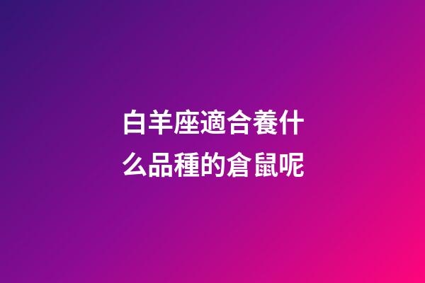 白羊座適合養什么品種的倉鼠呢-第1張-星座運勢-玄機派