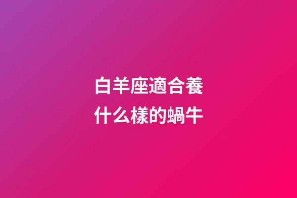 白羊座適合養什么樣的蝸牛-第1張-星座運勢-玄機派