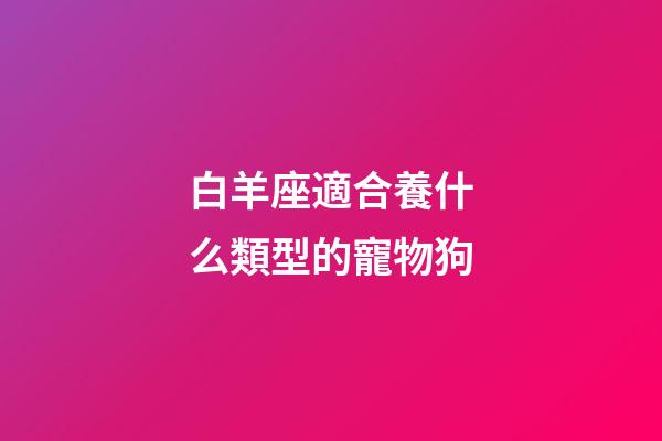 白羊座適合養什么類型的寵物狗-第1張-星座運勢-玄機派