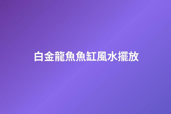 白金龍魚魚缸風水擺放