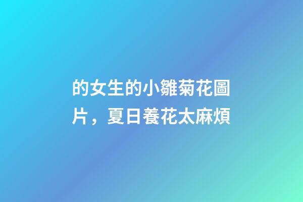 的女生的小雛菊花圖片，夏日養花太麻煩-第1張-觀點-玄機派