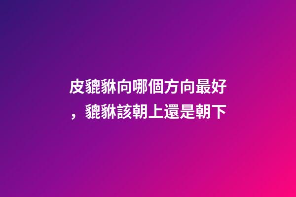 皮貔貅向哪個方向最好，貔貅該朝上還是朝下-第1張-觀點-玄機派