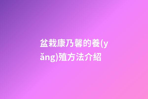 盆栽康乃馨的養(yǎng)殖方法介紹