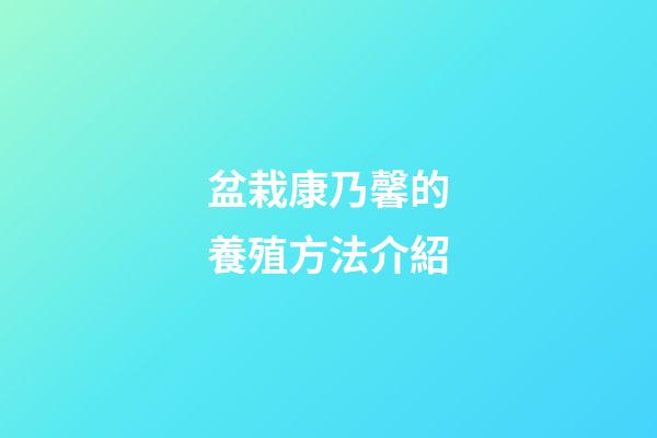 盆栽康乃馨的養殖方法介紹
