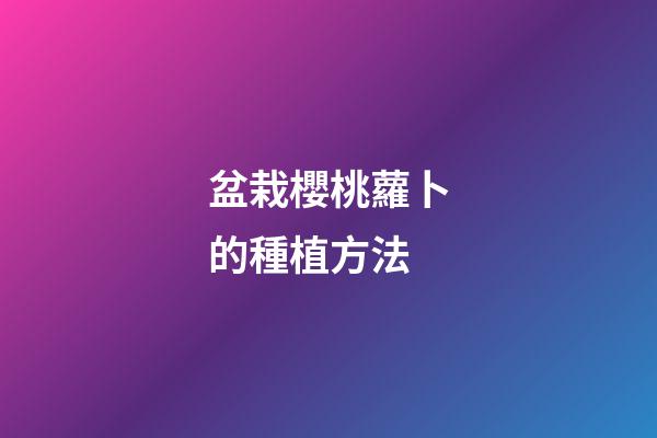 盆栽櫻桃蘿卜的種植方法