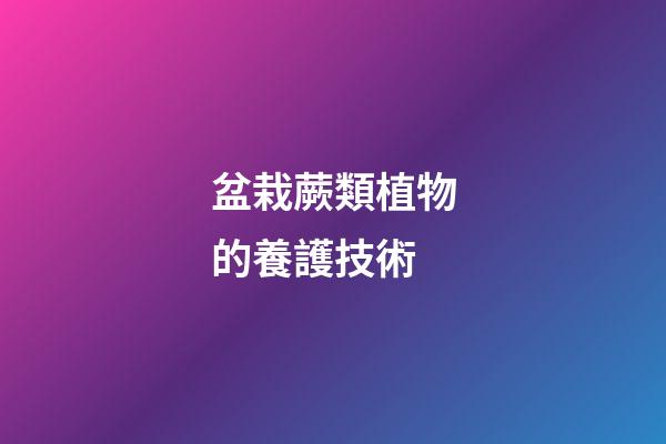 盆栽蕨類植物的養護技術